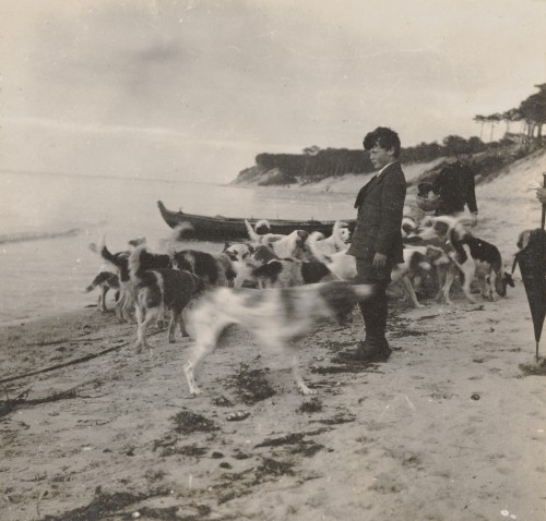 Chłopiec, ok. 10 lat, na plaży, patrzy w dal. Dookoła kilkanaście psów.
