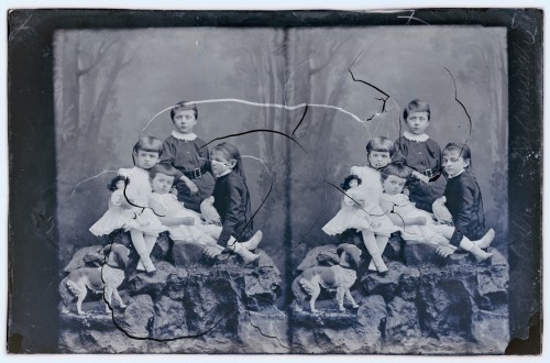 Czwórka małych dzieci pozujących z psem. 