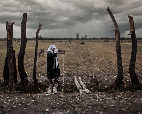 Starsza kobieta w białej chuście na głowie wylewa wodę z naczynia. 