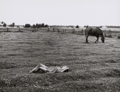 czarno-białe, dziewczynka leży na trawie i patrzy w niebo, w tle płot i pasący się koń